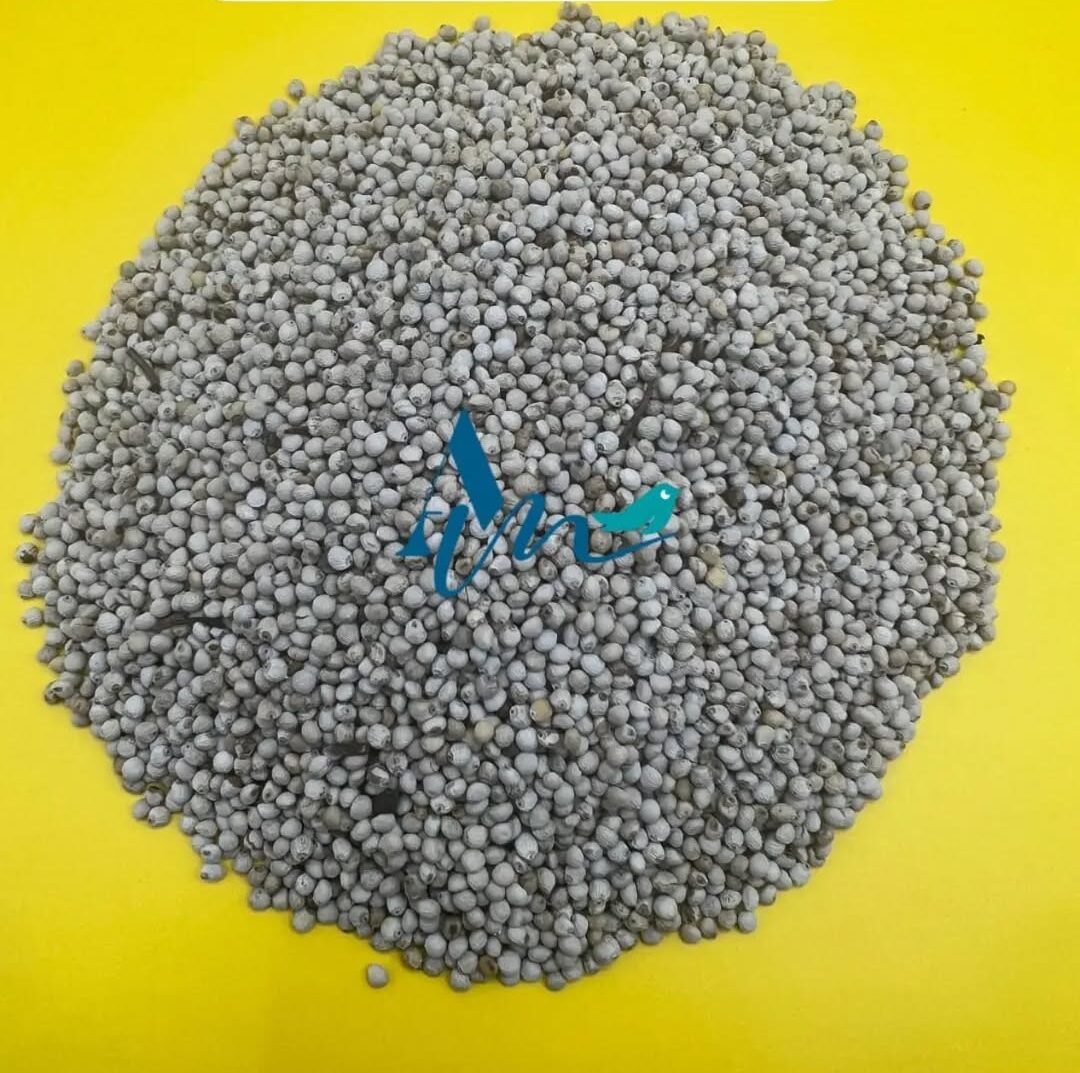 Semillas de Perilla Blanca para Aves | Refuerzo Respiratorio y Plumaje