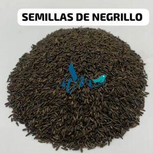 Semillas de Negrillo para Aves | Energía, Brillo y Estímulo Natural
