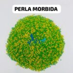 Perla Mórbida para Aves | Nutrición Completa y Plumaje Brillante