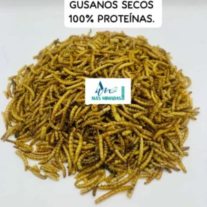 Gusanos Secos Deshidratados | Alto en Proteína para Aves y Mascotas