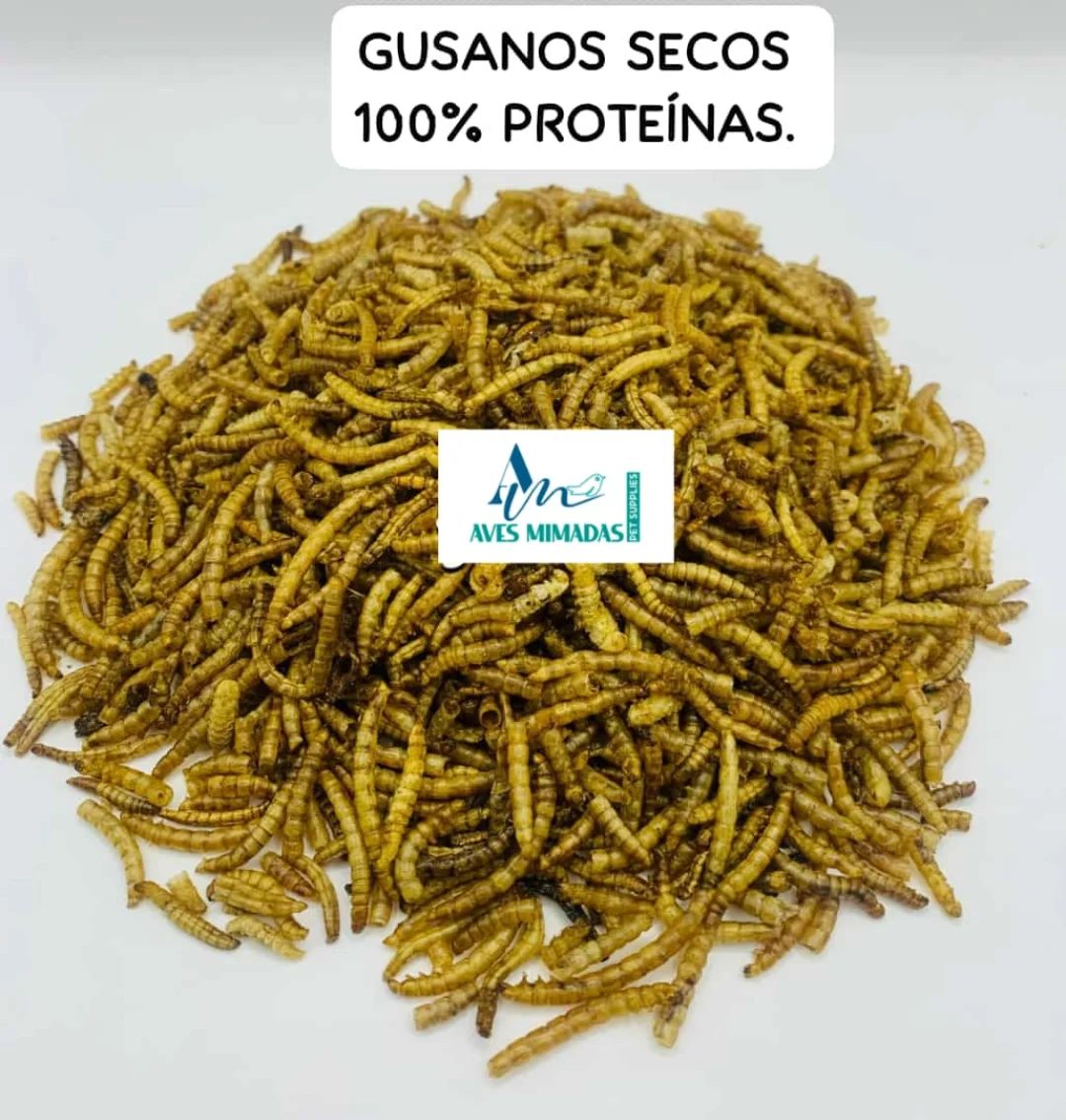 Gusanos Secos Deshidratados | Alto en Proteína para Aves y Mascotas