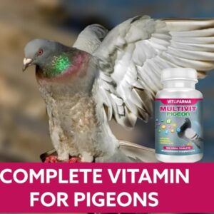 Multivitamínico Vitofarma para Palomas | Multivit Pigeon (100 tabletas)