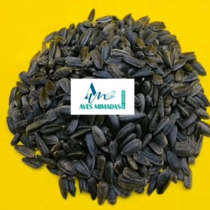 Girasol Negro para Aves