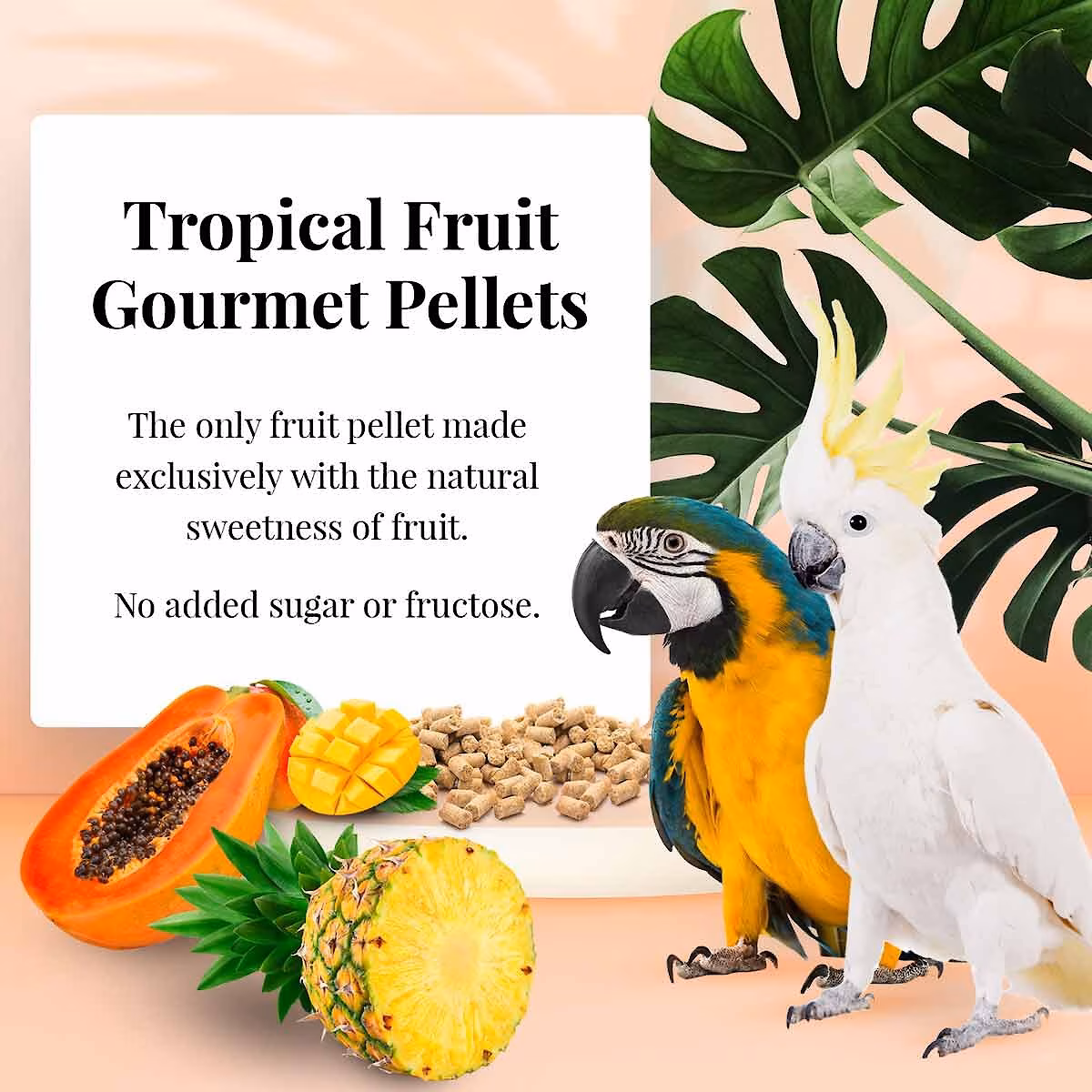 PELES DE FRUTAS TROPICALES LARGE PARA GUACAMAYOS FUNDA DE 1.25 LBS - Imagen 3