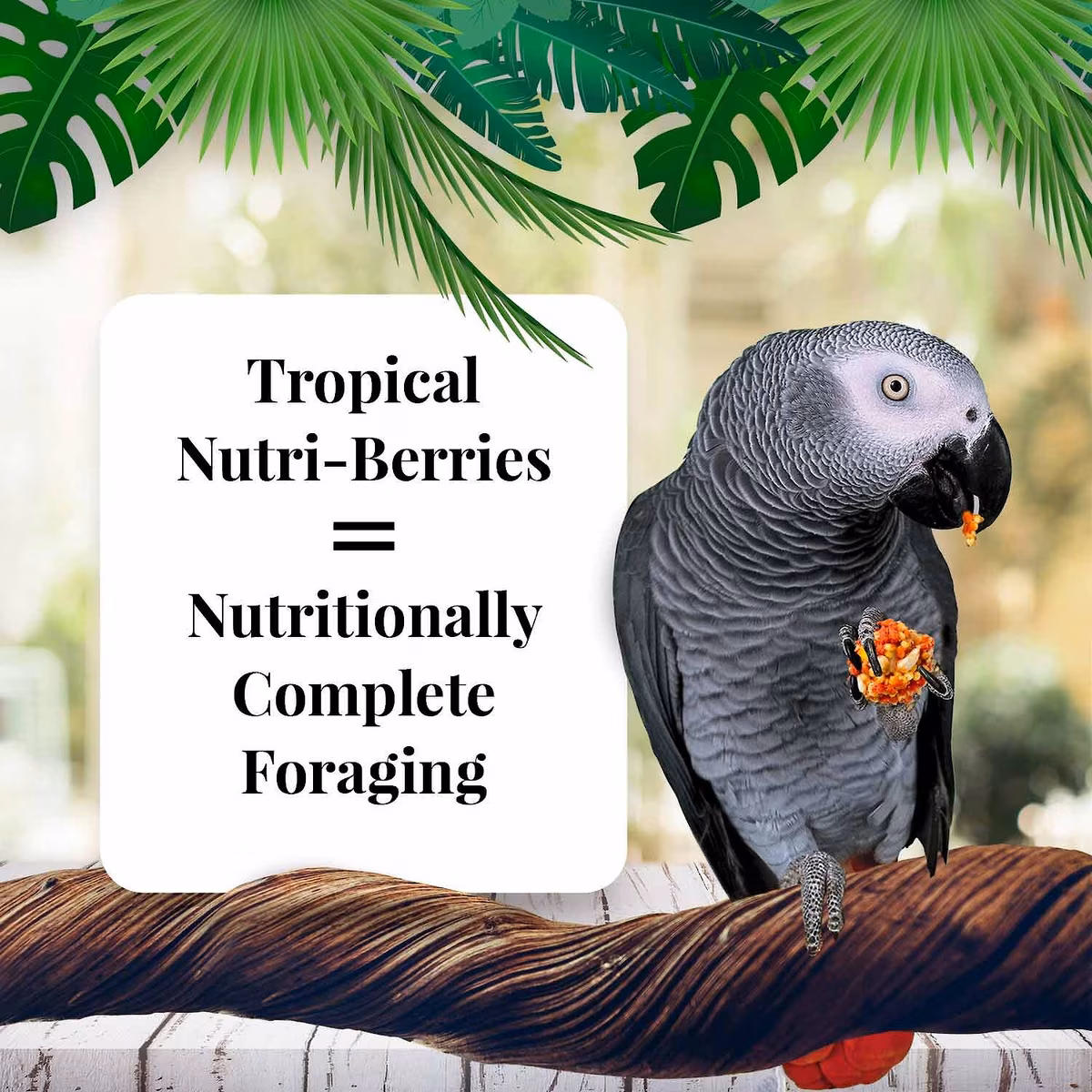 BOLITAS TROPICALES DE FRUTAS PARA LOROS NUTRI-BERRIES FUNDA DE 10 OZ. - Imagen 4