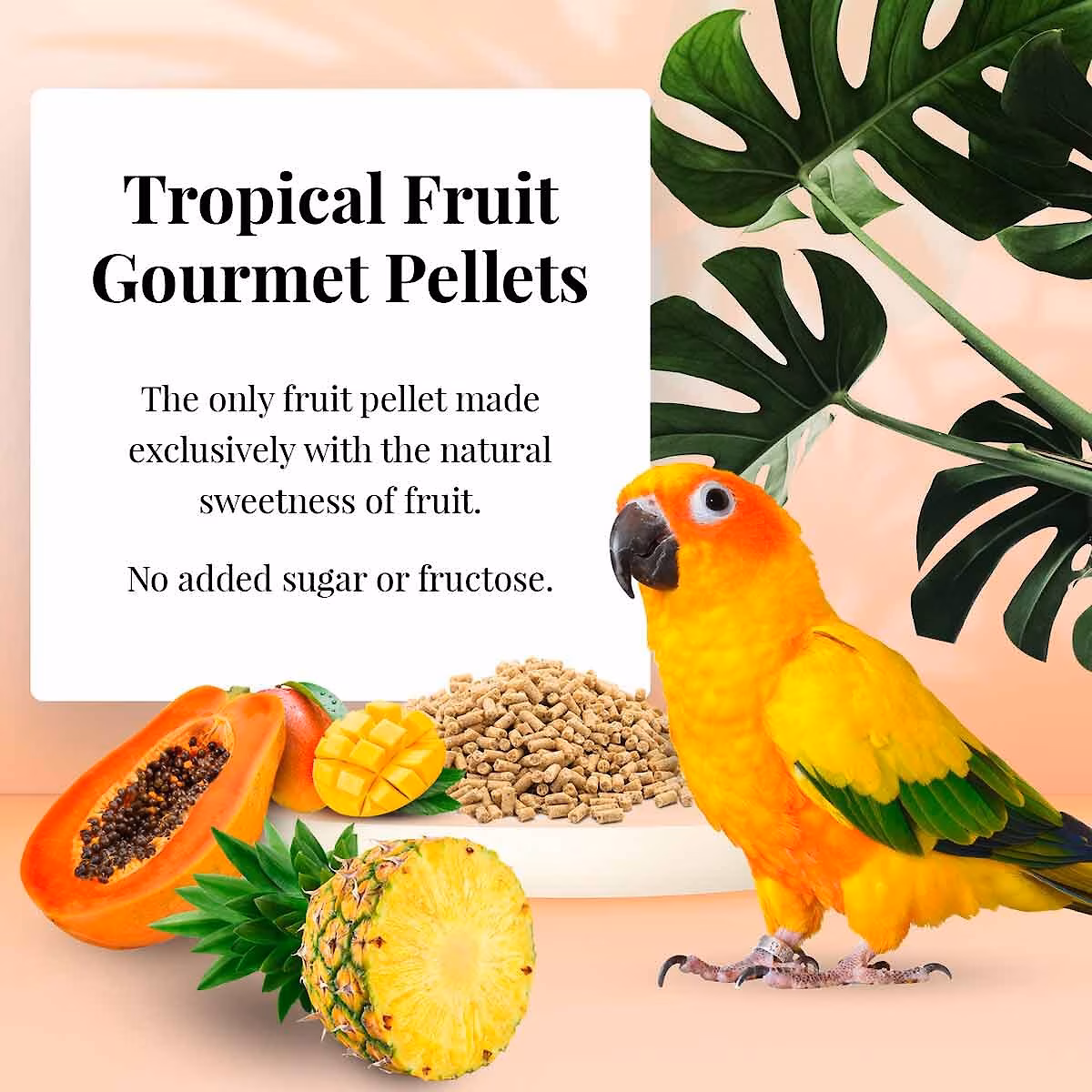 PELES DE FRUTAS TROPICALES MEDIANO PARA CONUROS Y COTORRAS FUNDA DE 1.25 LBS - Imagen 3