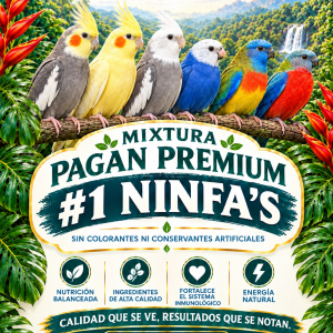 MIXTURA PAGAN PREMIUM #1 NINFA BLEND SEMILLAS 4 LIBRAS