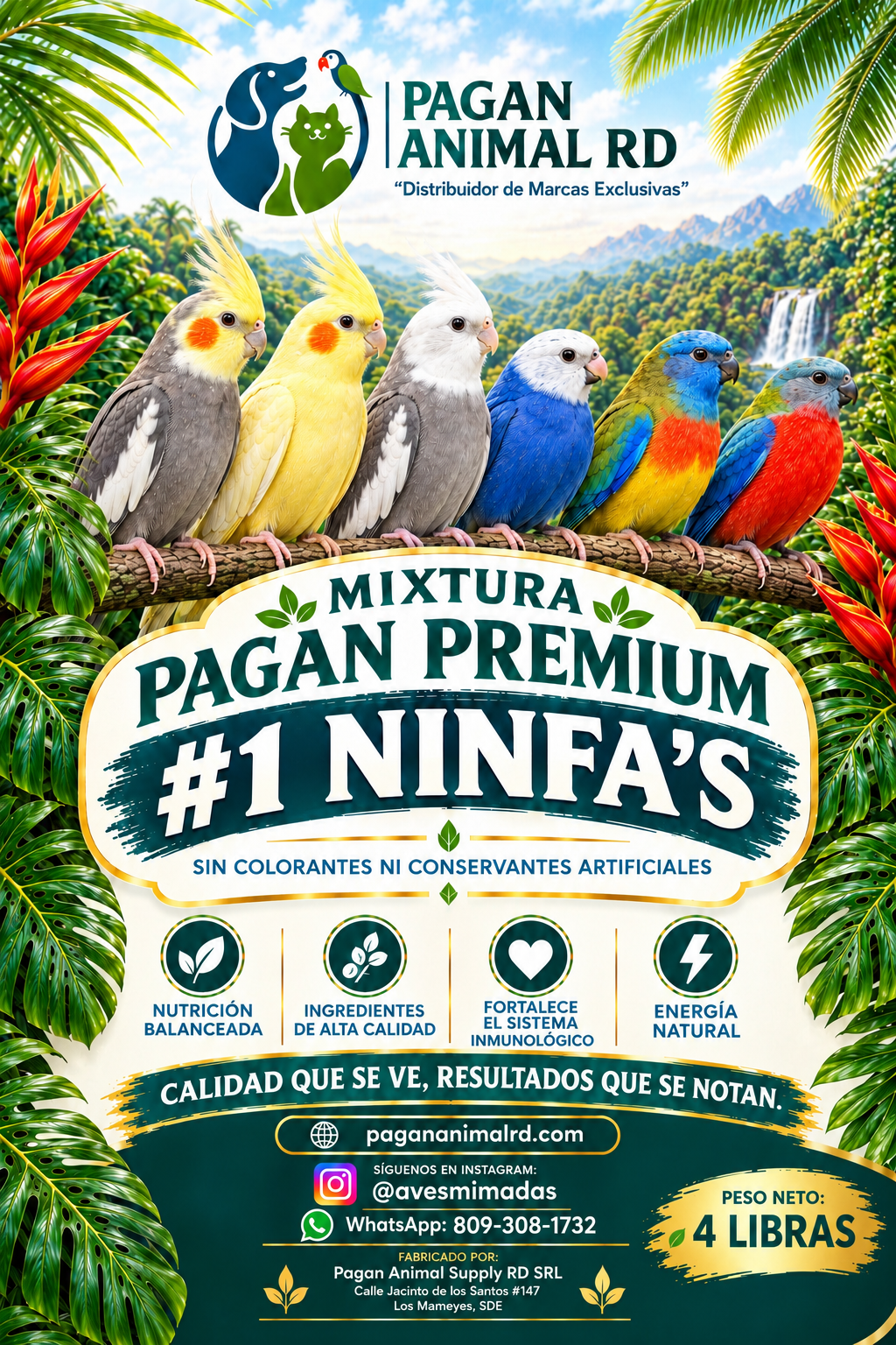 MIXTURA PAGAN PREMIUM #1 NINFA BLEND SEMILLAS 4 LIBRAS