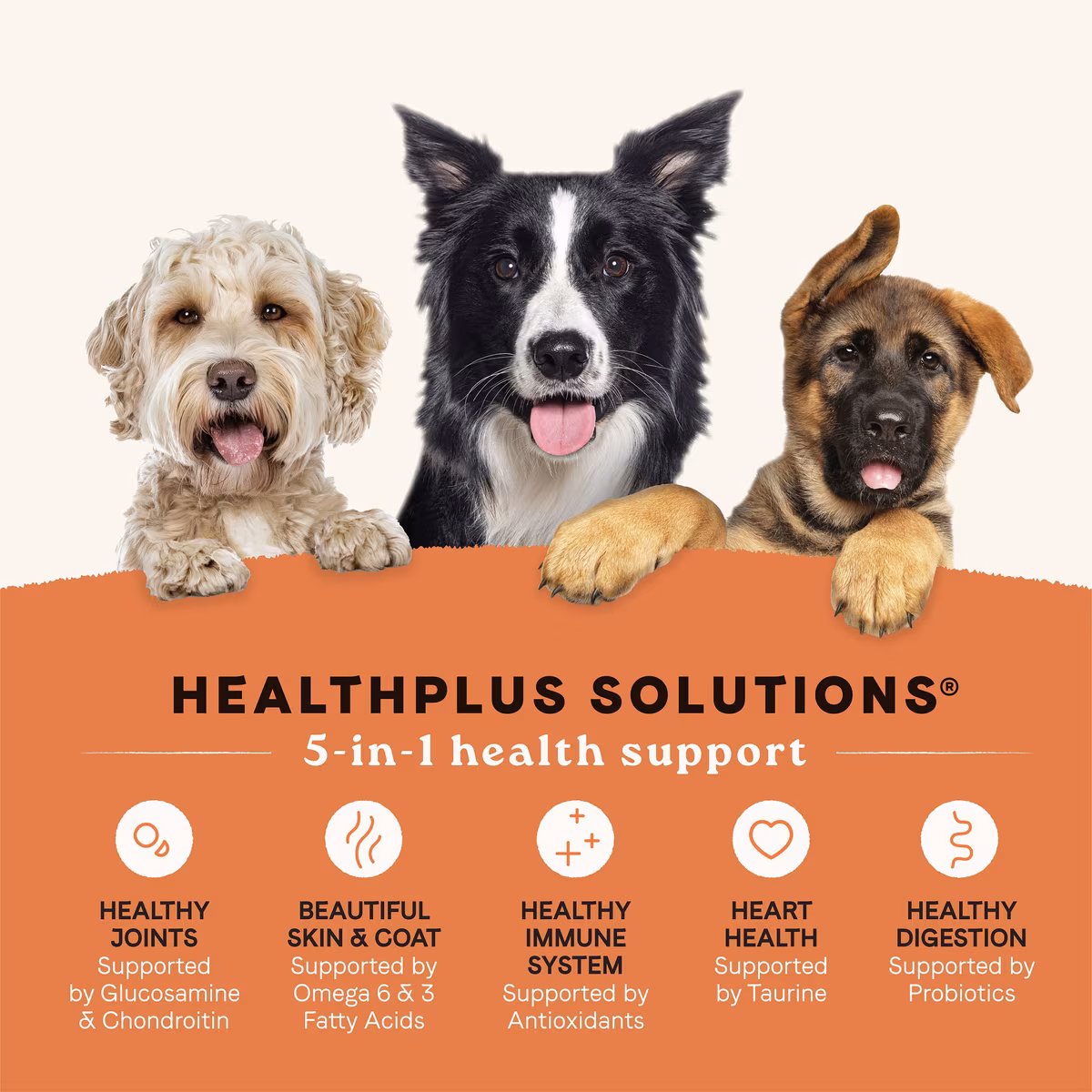 Alimento seco para perros Canidae all life stages large breed perros grandes 40 libras - Imagen 3